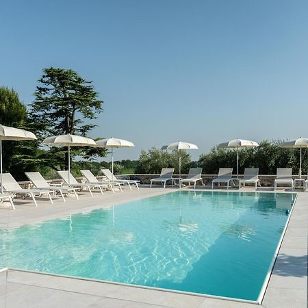 Verdeolivo 1876 - Apartments & Pool Mezzane di Sotto 외부 사진