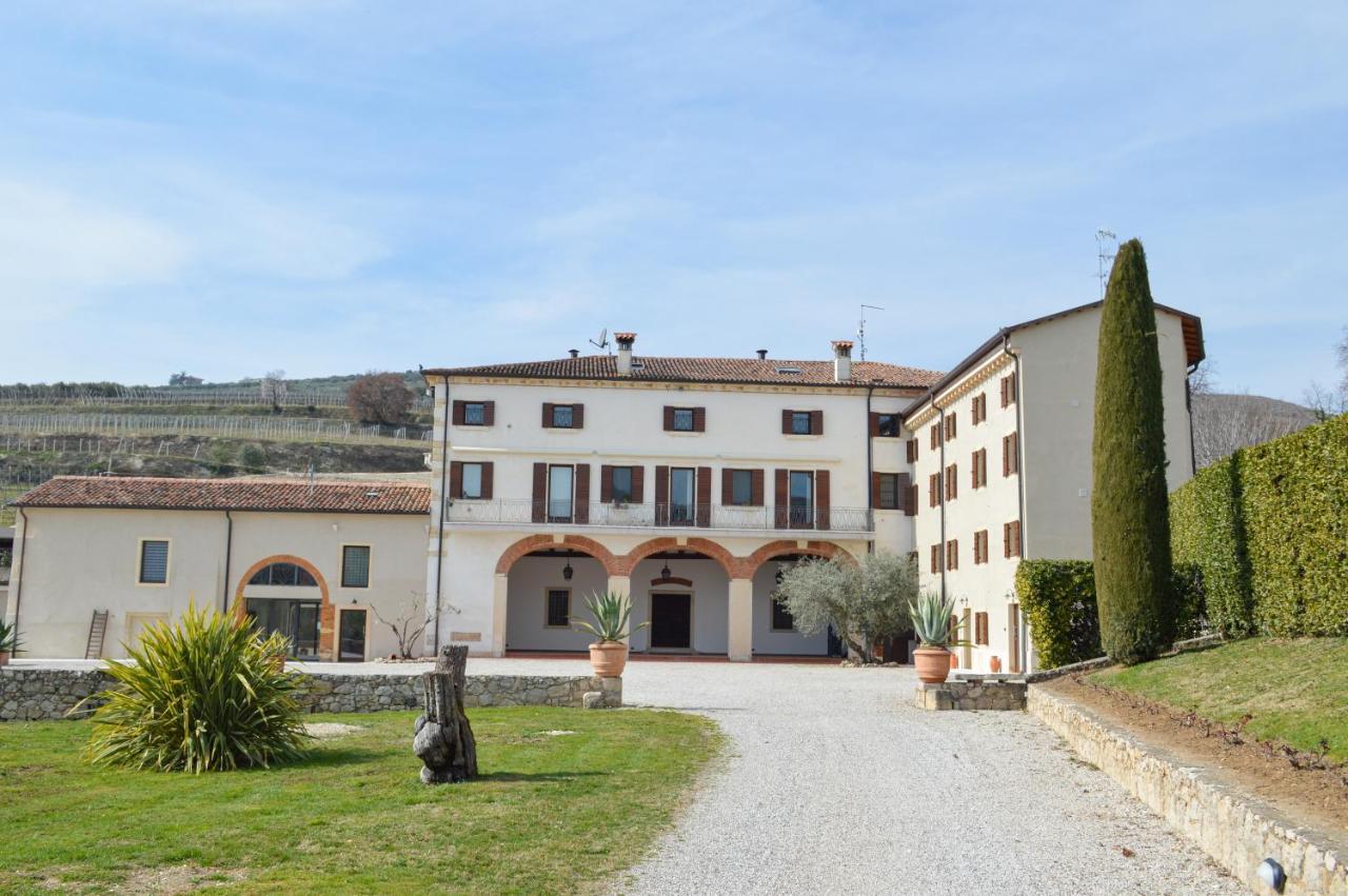 Verdeolivo 1876 - Apartments & Pool Mezzane di Sotto 외부 사진