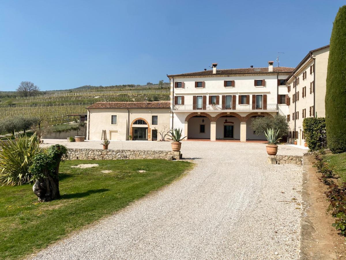 Verdeolivo 1876 - Apartments & Pool Mezzane di Sotto 외부 사진