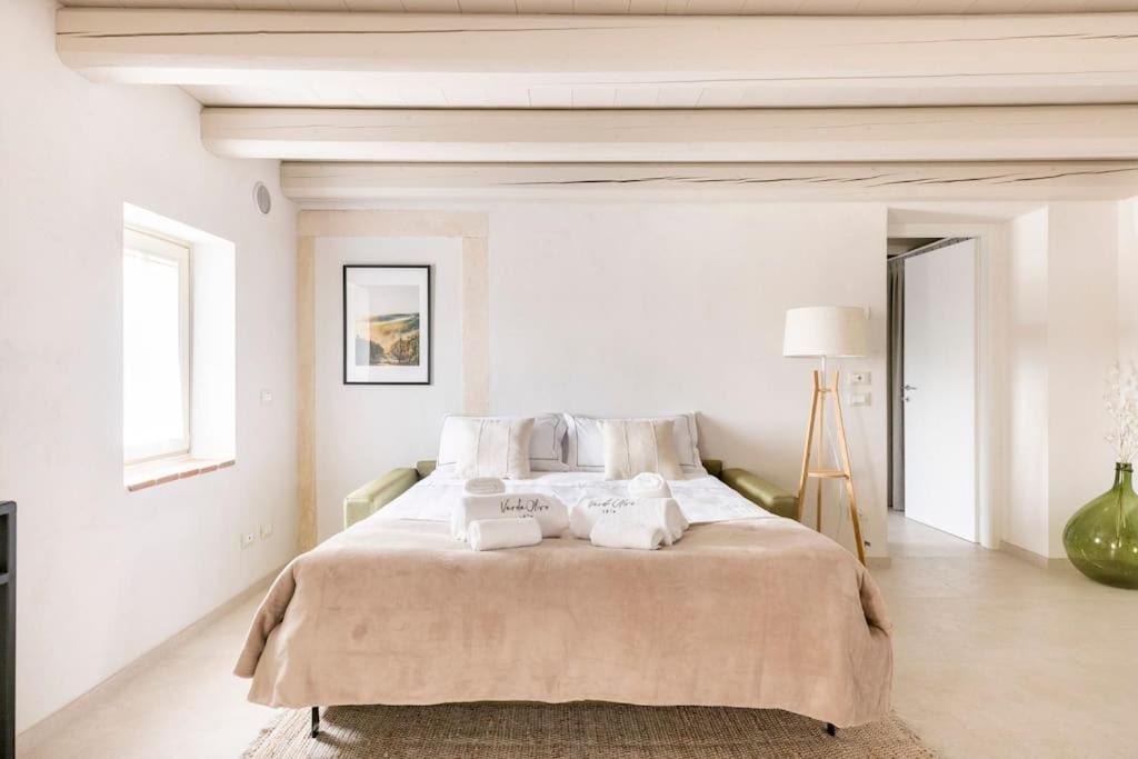 Verdeolivo 1876 - Apartments & Pool Mezzane di Sotto 외부 사진